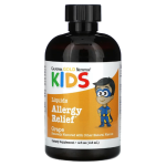 California Gold Nutrition, Liquid Allergy Relief with Elderberry Extract, 4 fl oz (118 ml) in Pakistan