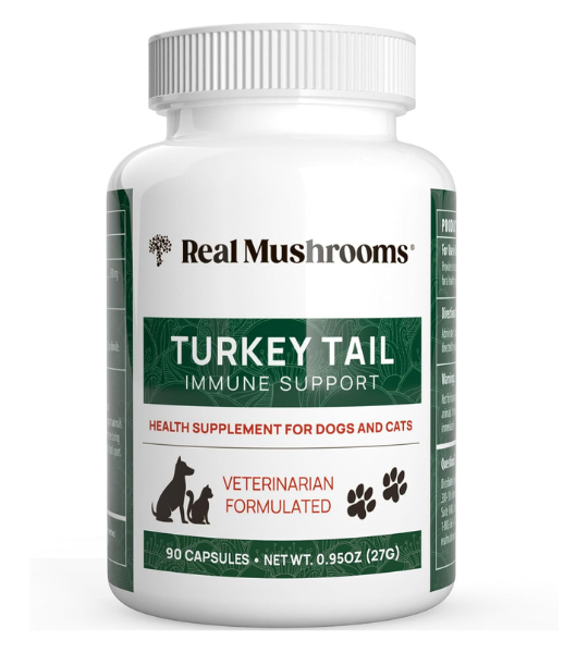 Real Mushrooms Turkey Tail Capsules in Pakistan